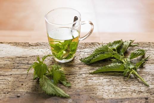 Losing weight: Can you really lose weight with nettle tea?