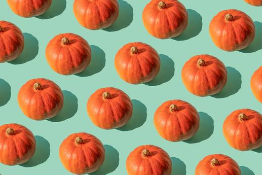 Don't eat: You can recognize poisonous pumpkins by 3 things